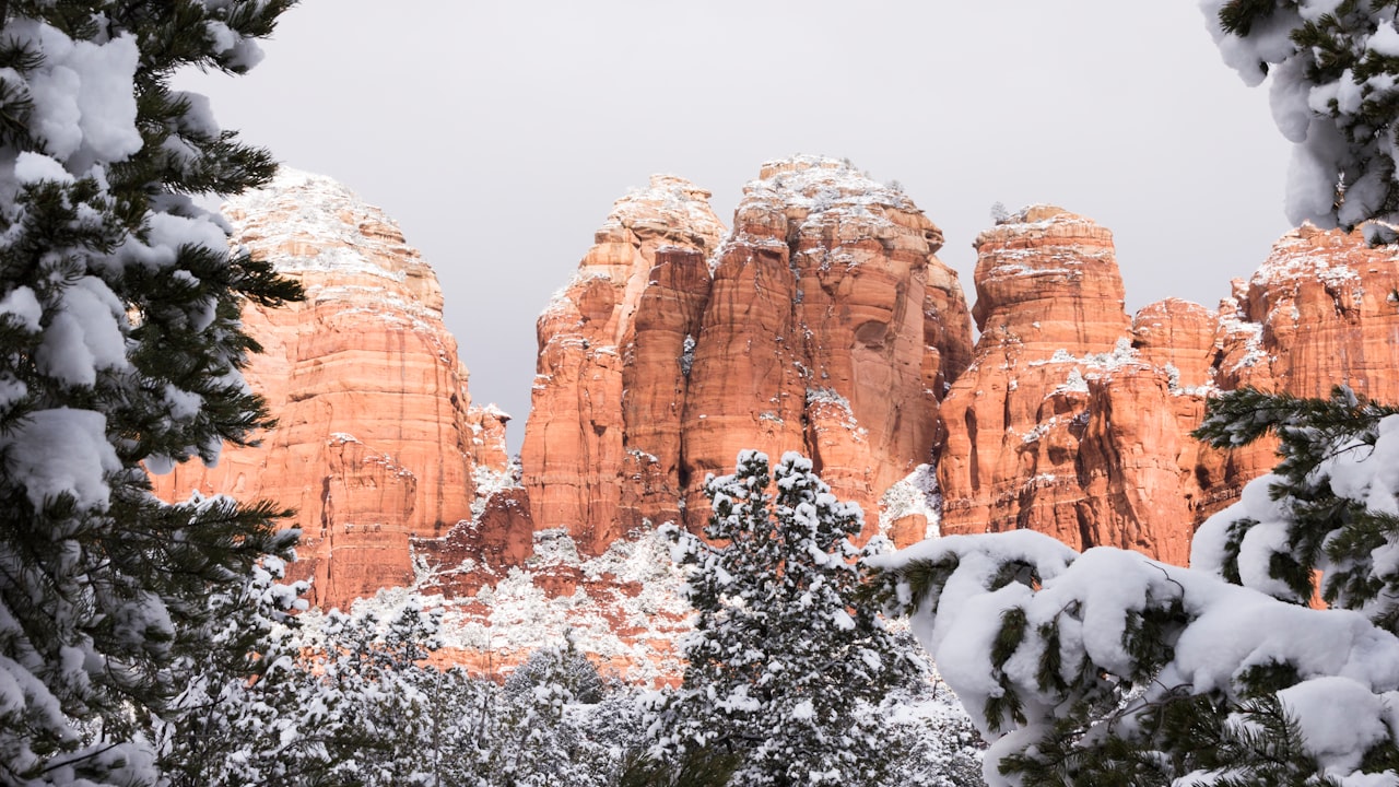 Utilize A Refillable Pod Vape To Increase Your Options